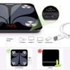 Smart Body Fat Scale Chwares