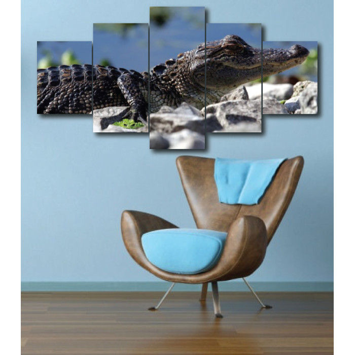 Wall Frames 5 Pieces Set Canvas - Digitally Printed Wall Canvas  post-288