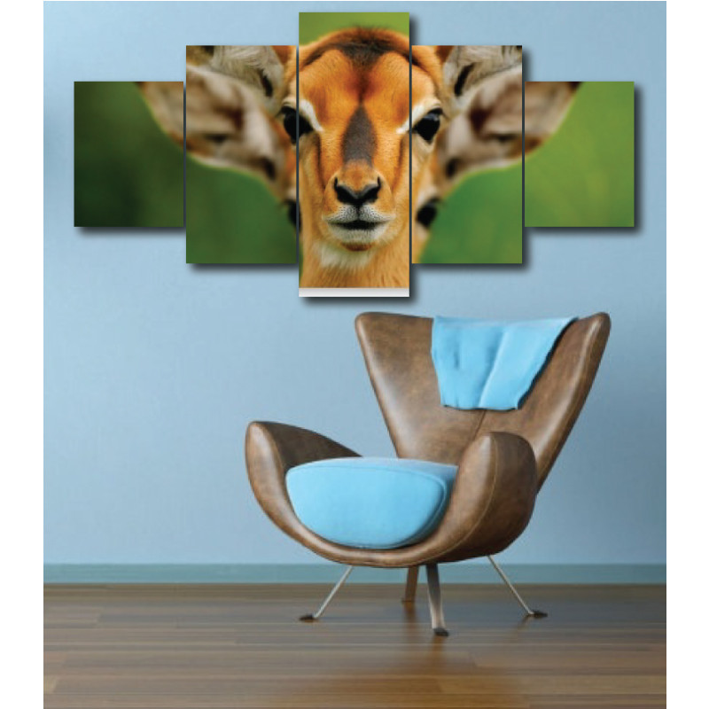 Wall Frames 5 Pieces Set Canvas - Digitally Printed Wall Canvas  post-291