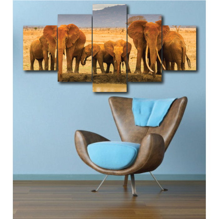 Wall Frames 5 Pieces Set Canvas - Digitally Printed Wall Canvas  post-300