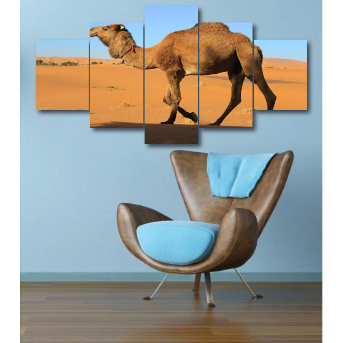 Wall Frames 5 Pieces Set Canvas - Digitally Printed Wall Canvas  post-328