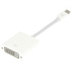 Apple Mini Display Port To DVI Adapter