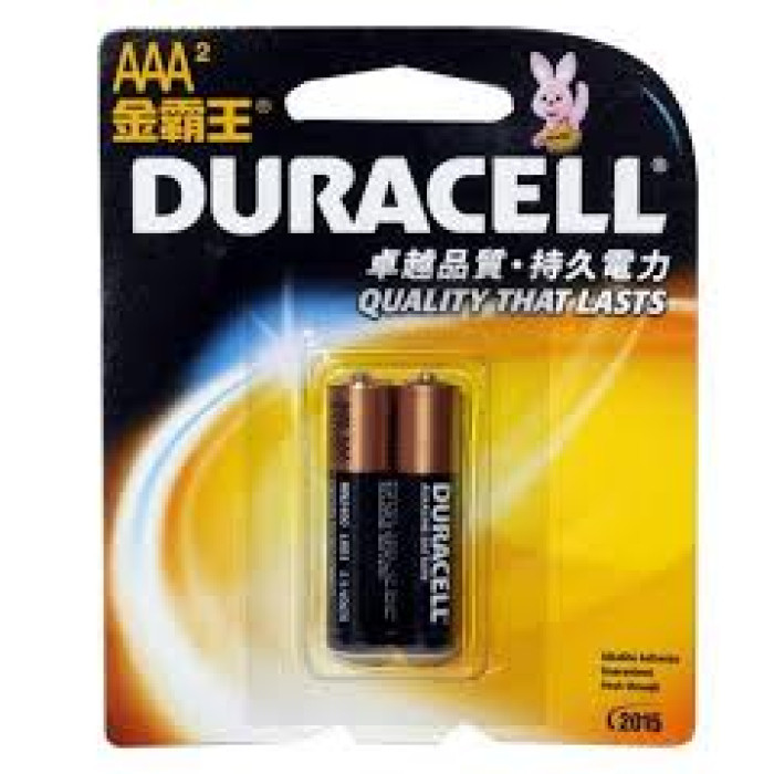 Duracell AAA Size Alkaline Battery (Pack of 2)