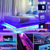 Elegant Life LED 10m Strip Lights
