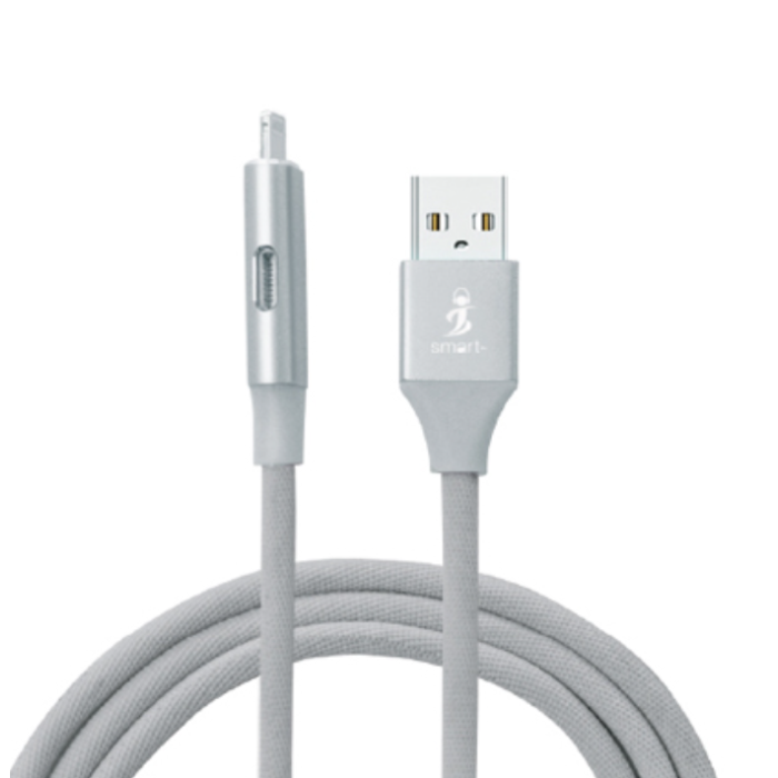 iconnect-play Music + Charging Cable 