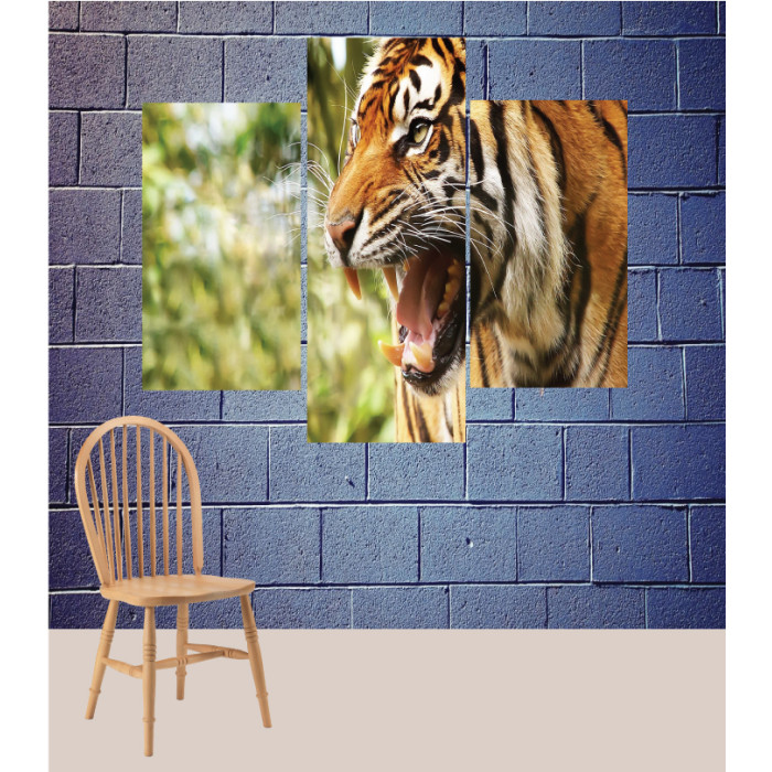 Wall Frames 3 Pieces Set Canvas – Digitally Printed Wall Canvas TJ-150