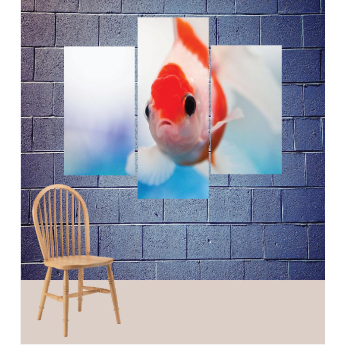 Wall Frames 3 Pieces Set Canvas – Digitally Printed Wall Canvas TJ-120