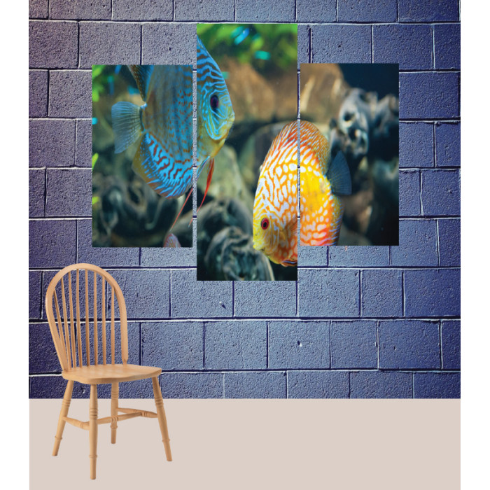 Wall Frames 3 Pieces Set Canvas – Digitally Printed Wall Canvas TJ-124